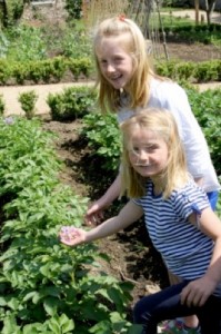 vegetable garden at east dean