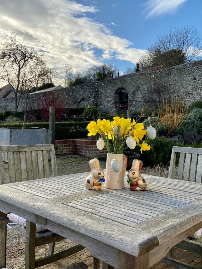 Daffodils in garden